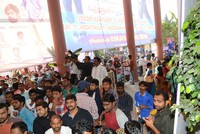 Celebs at Temper Benefit Show Photos